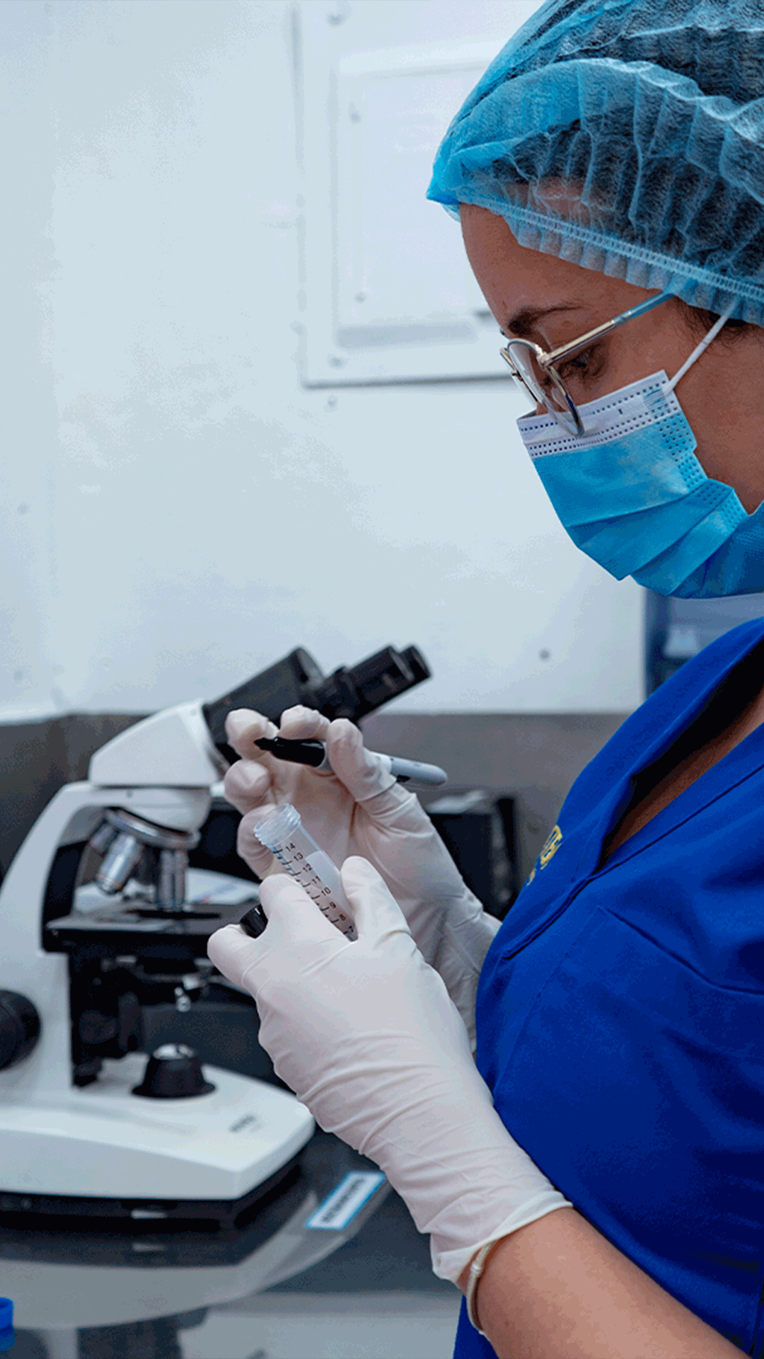 Odoo - Prueba 1 a tres columnas